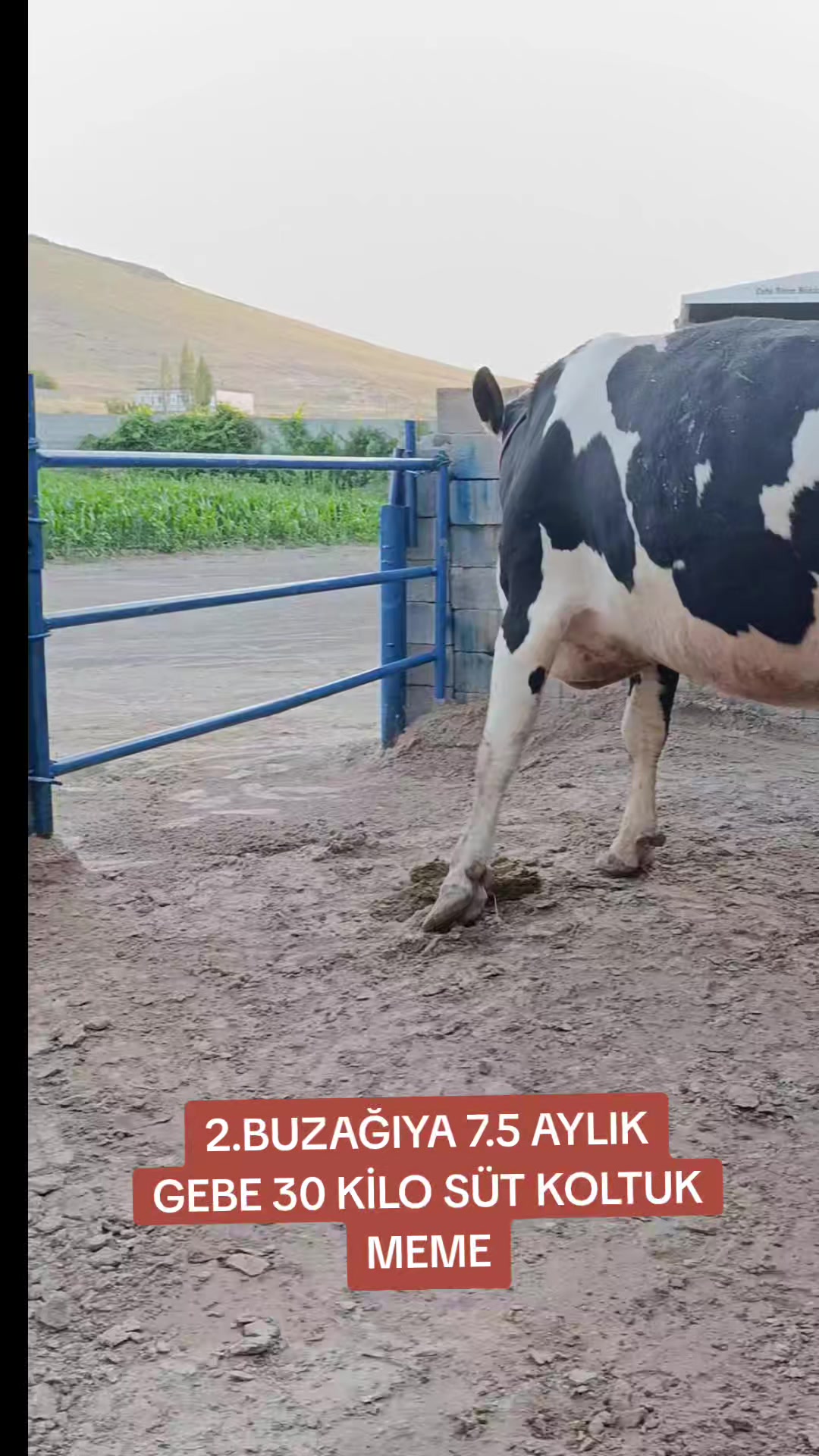 @Ömer 51