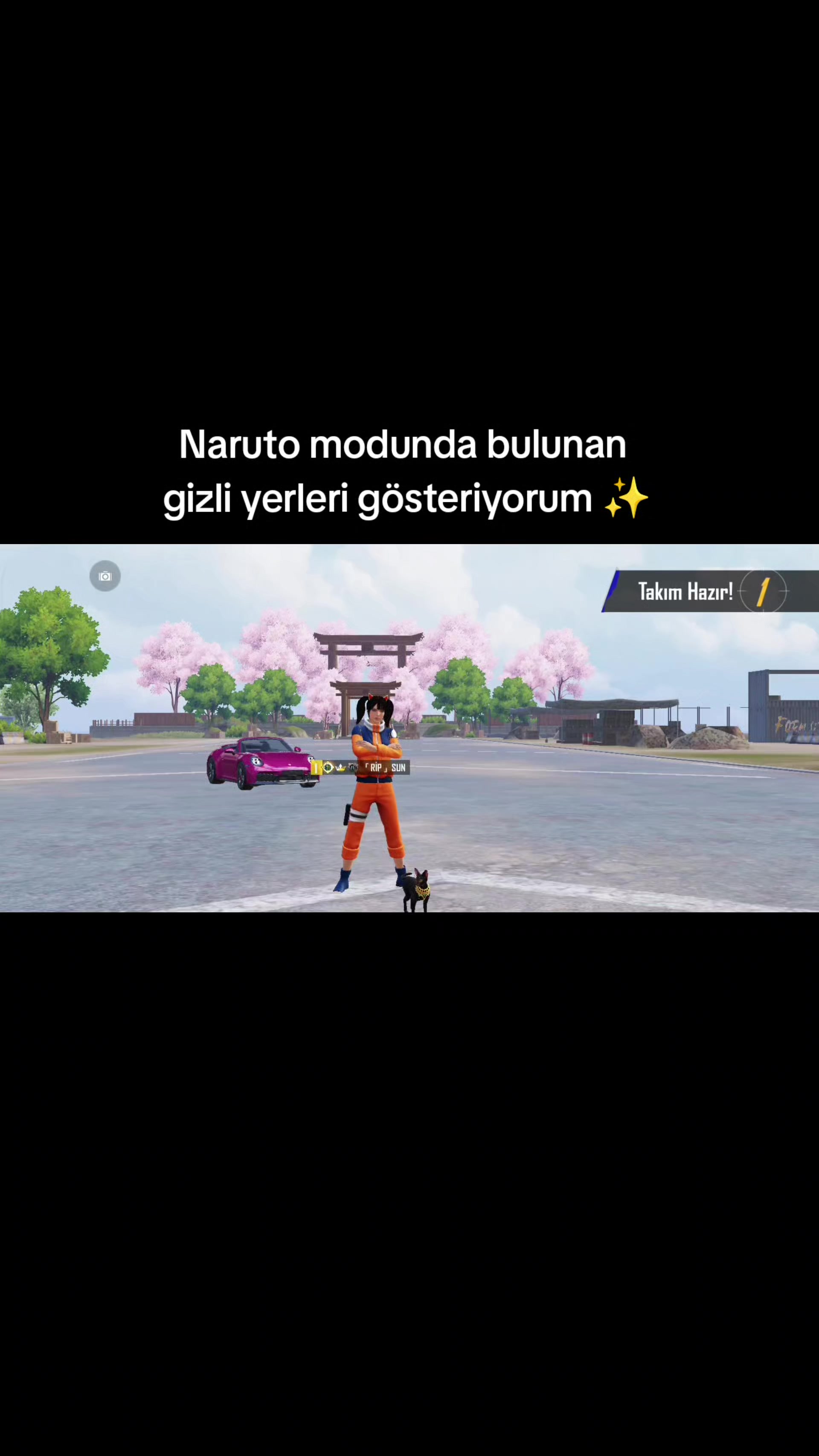 @ripSUN