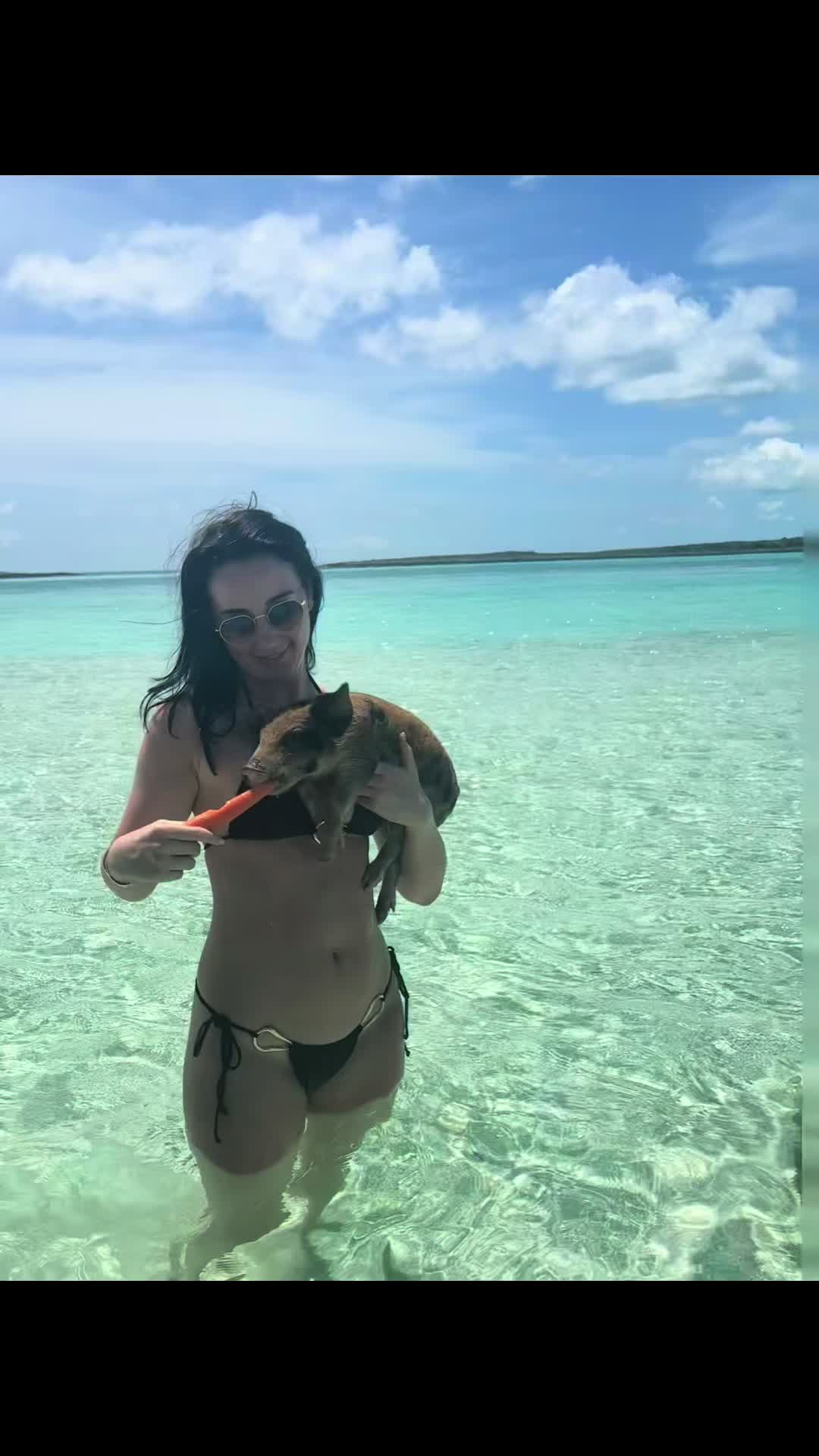 @elysianorris