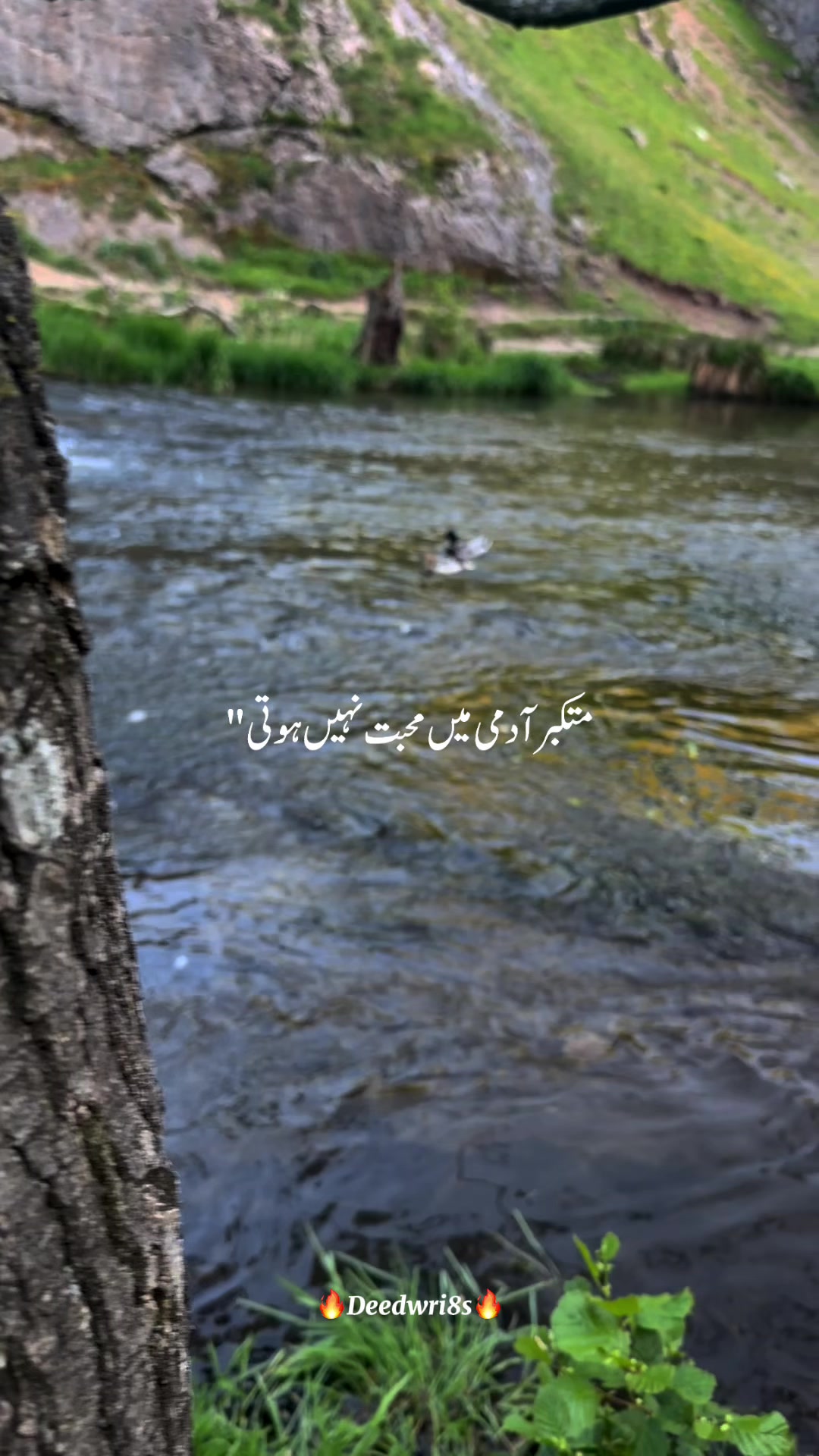 @✨ℍ𝕒𝕝𝕖𝕖𝕞𝕒 𝕂𝕙𝕒𝕟✨