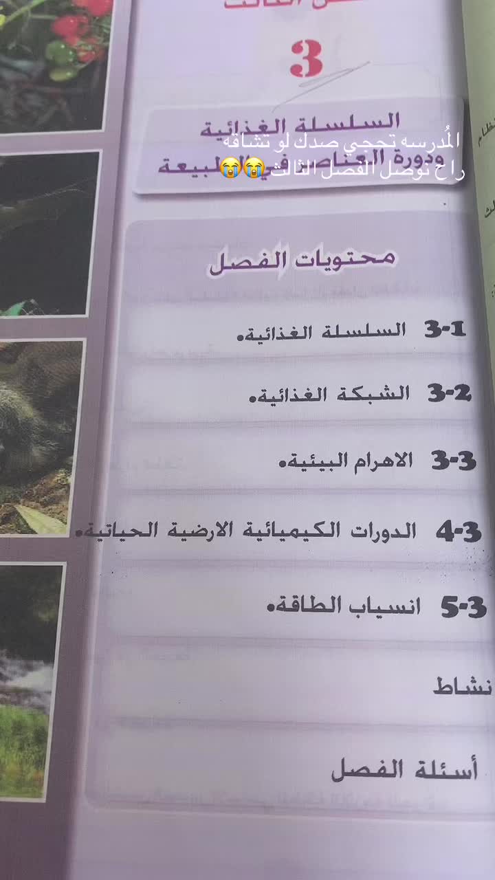 @Rawan