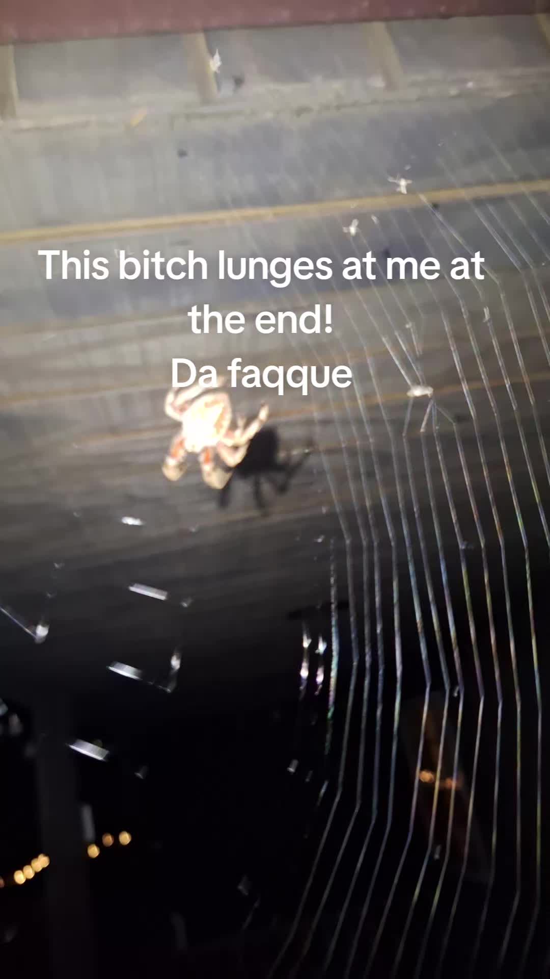 @YurMum
