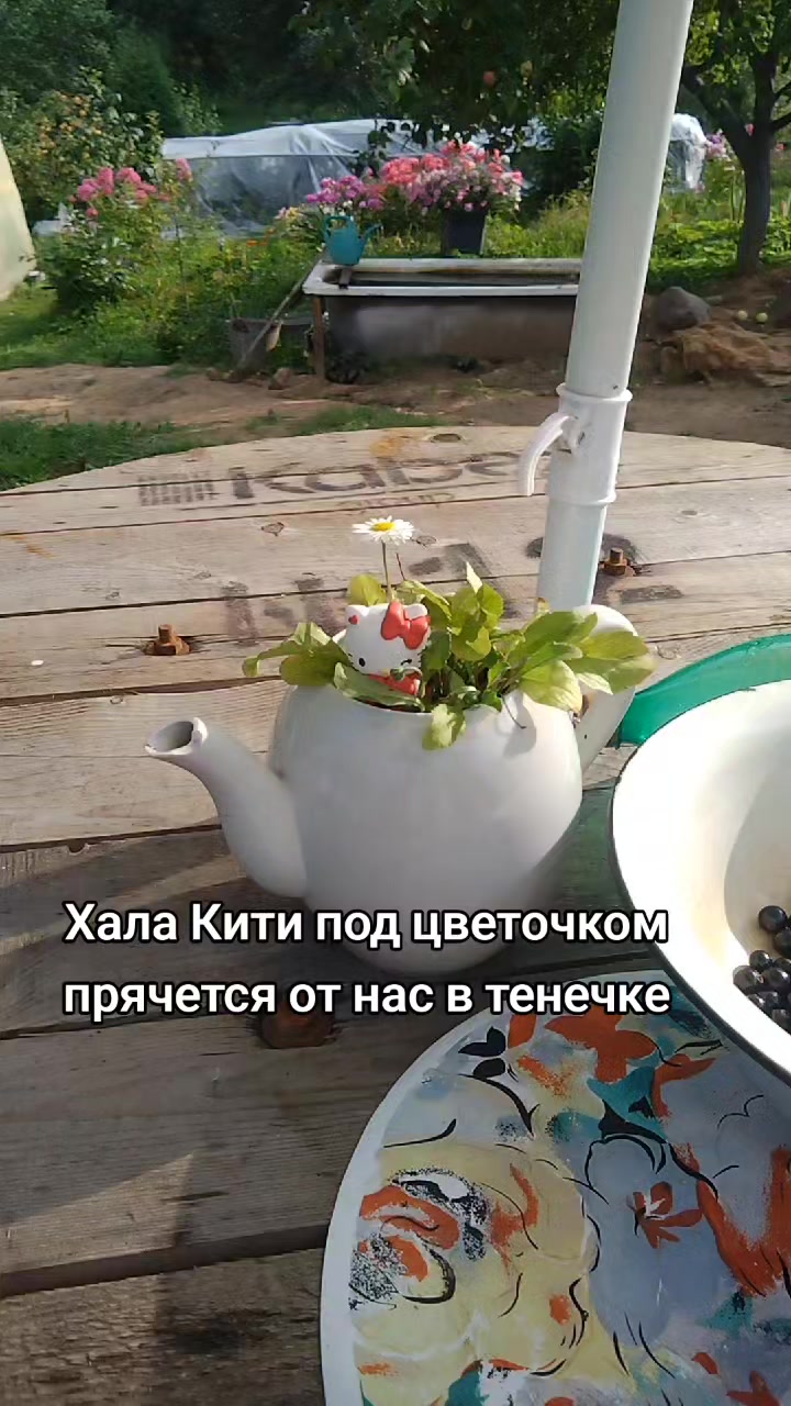 @Ыбан Ачагов