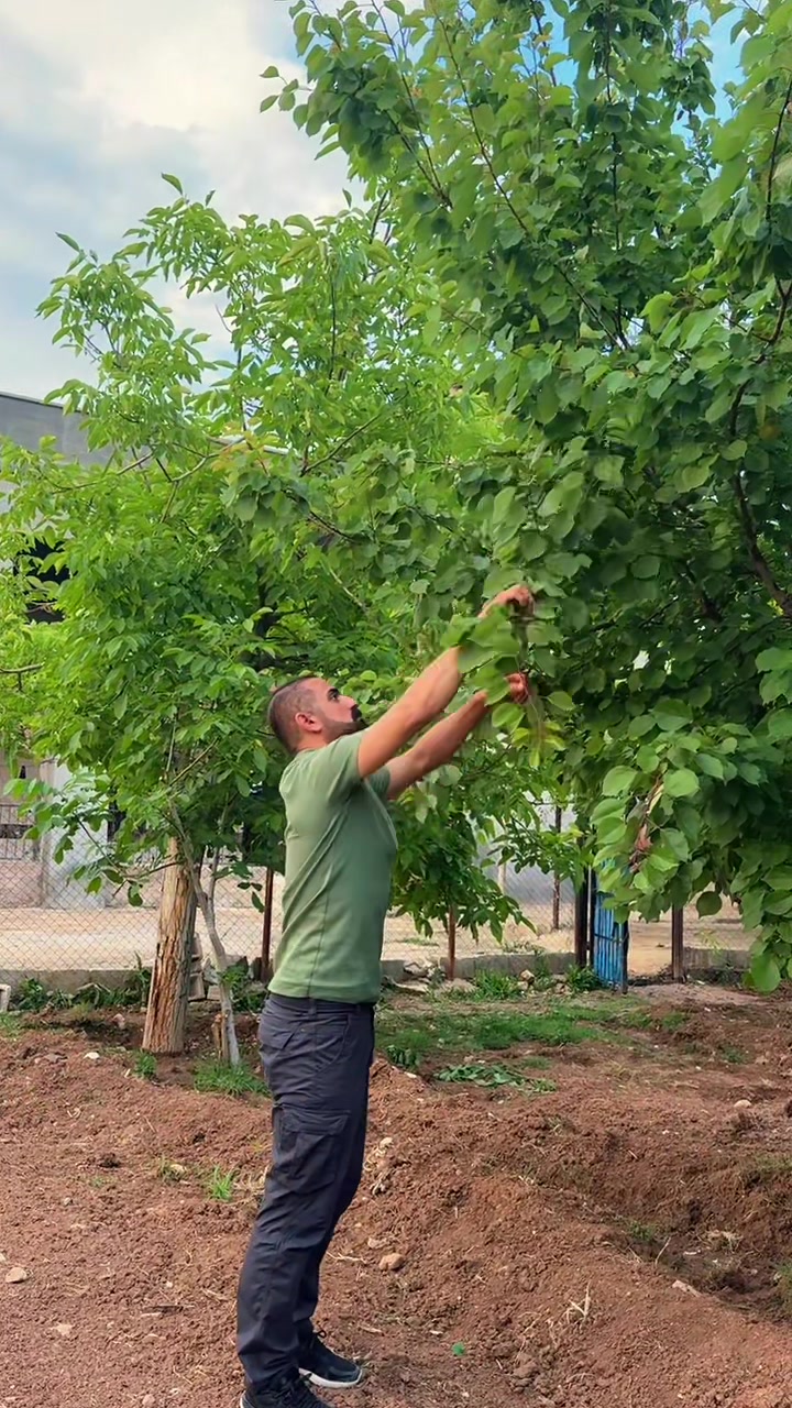 @UĞUR