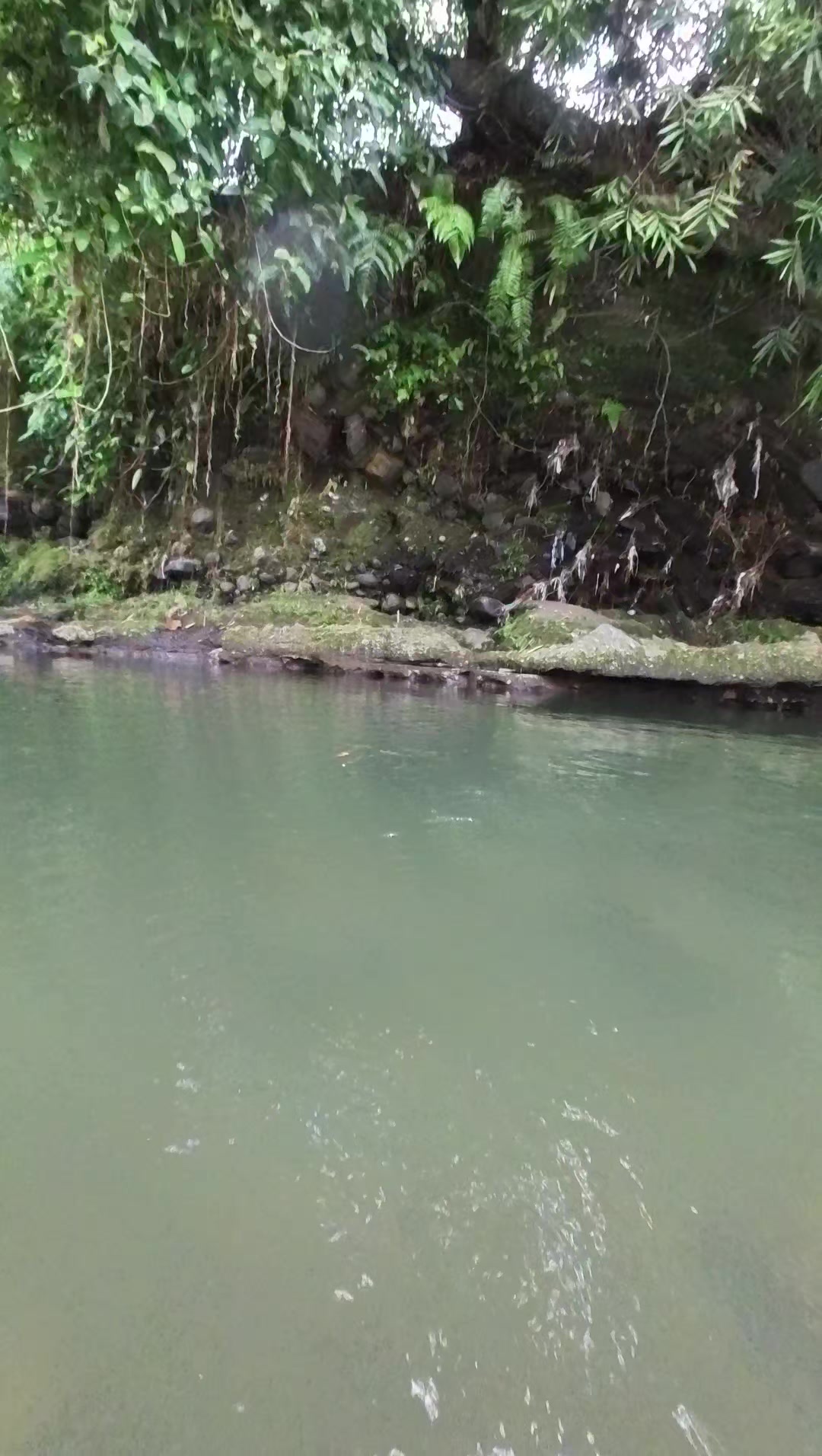 @Gasle Fishing