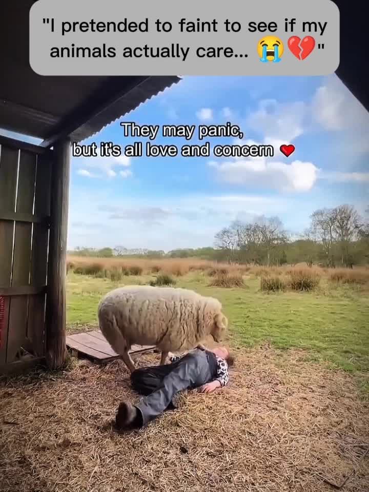 @hopecore