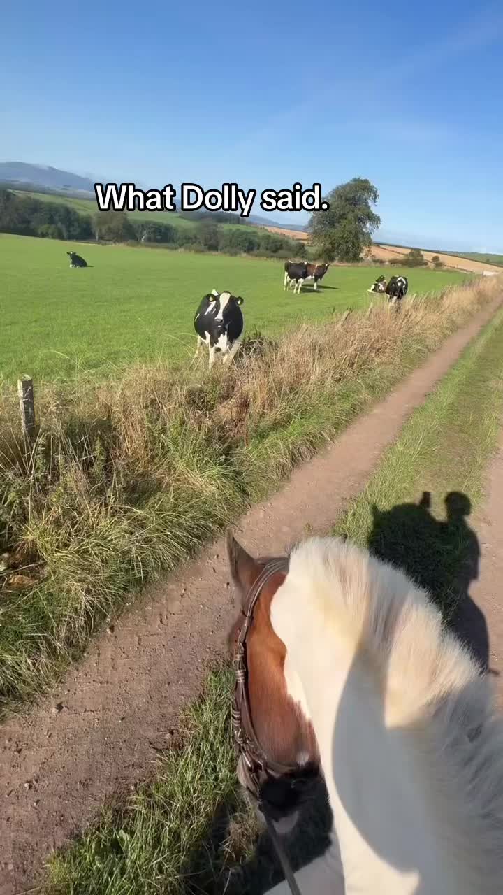 @Lilywiththecobs🐴