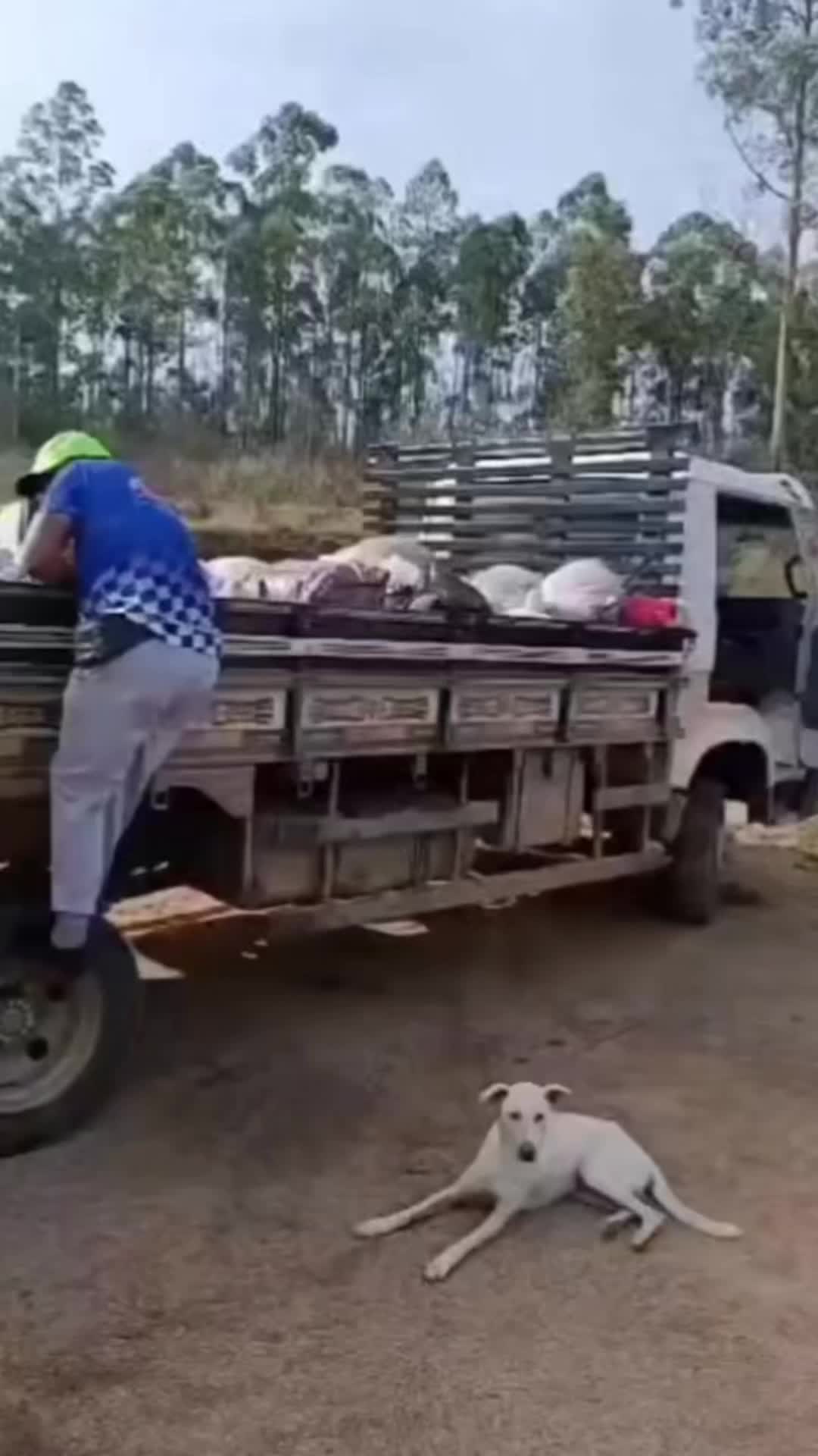 @Fluffy Fails