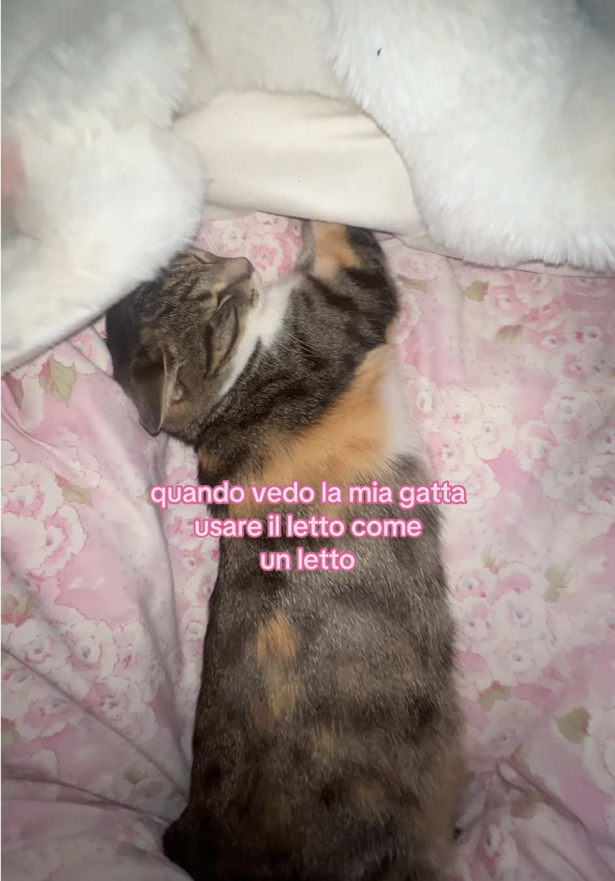@sofi⭐️🍃🎀