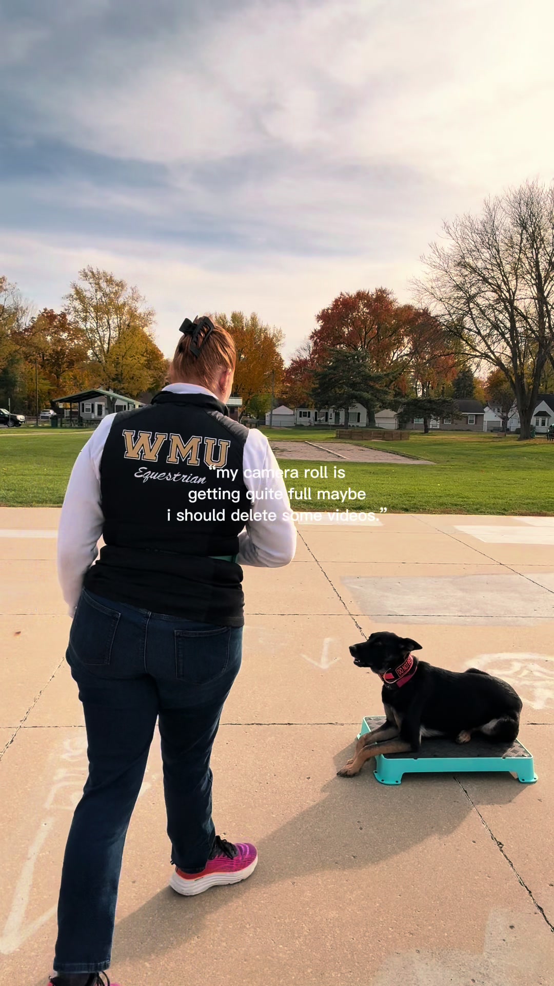 @potsiewithdogs