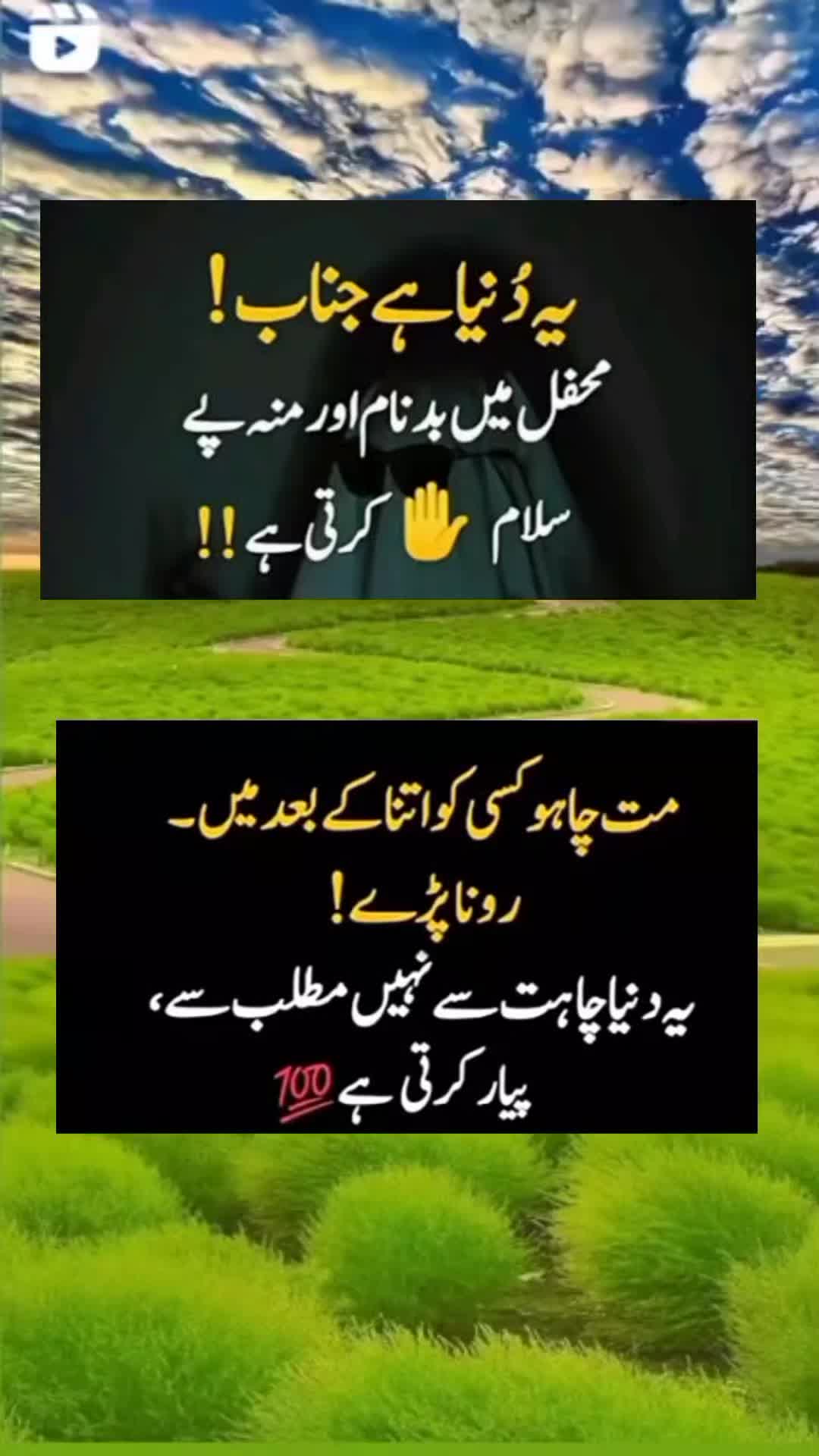 @sharaiz