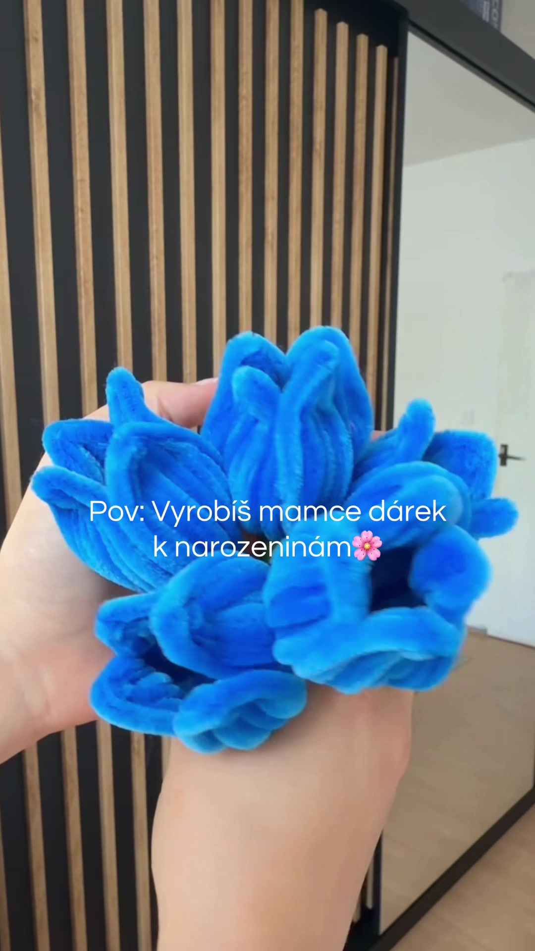 @Martina | Život se psem