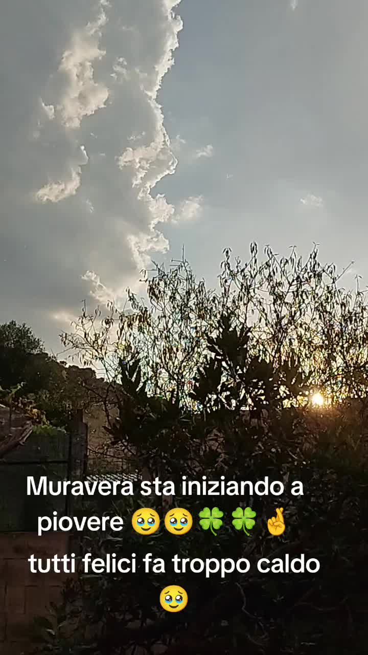 @sonia