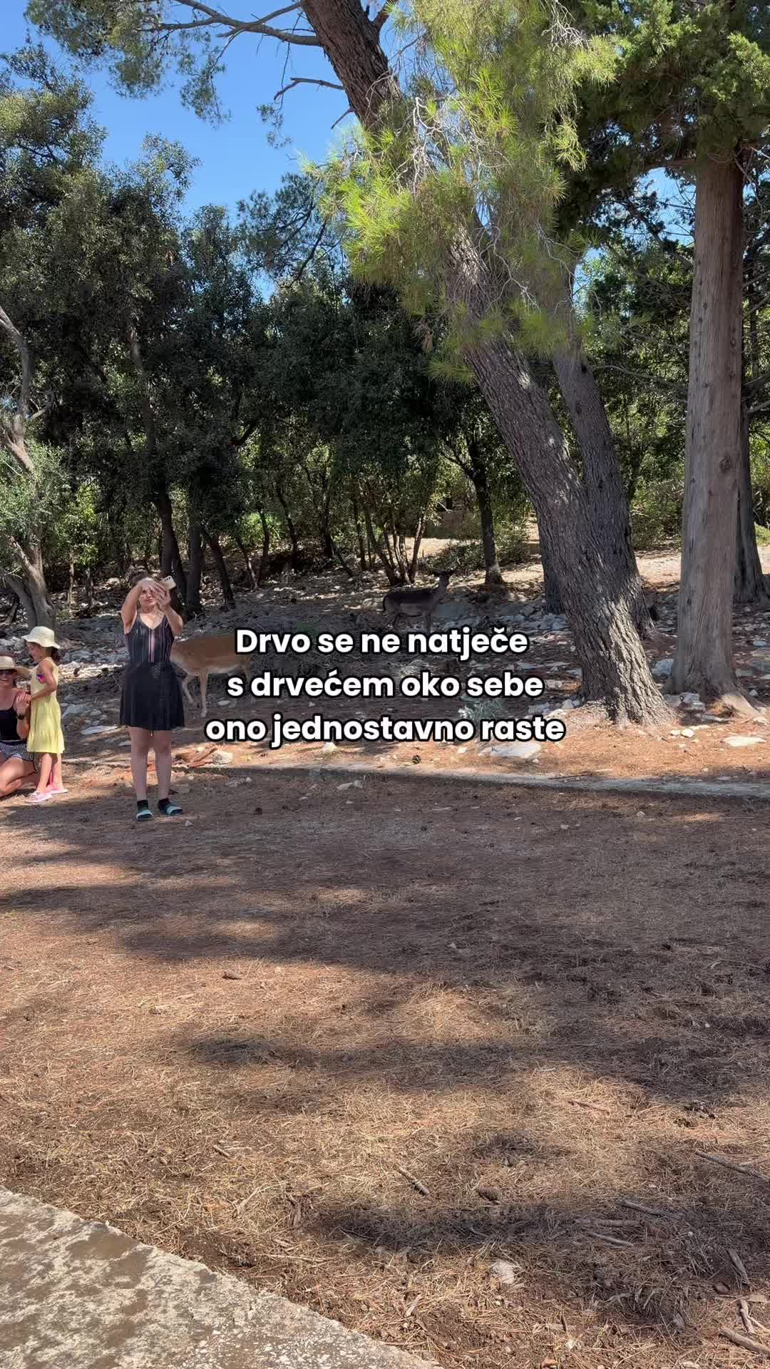 @Ivan Dabro