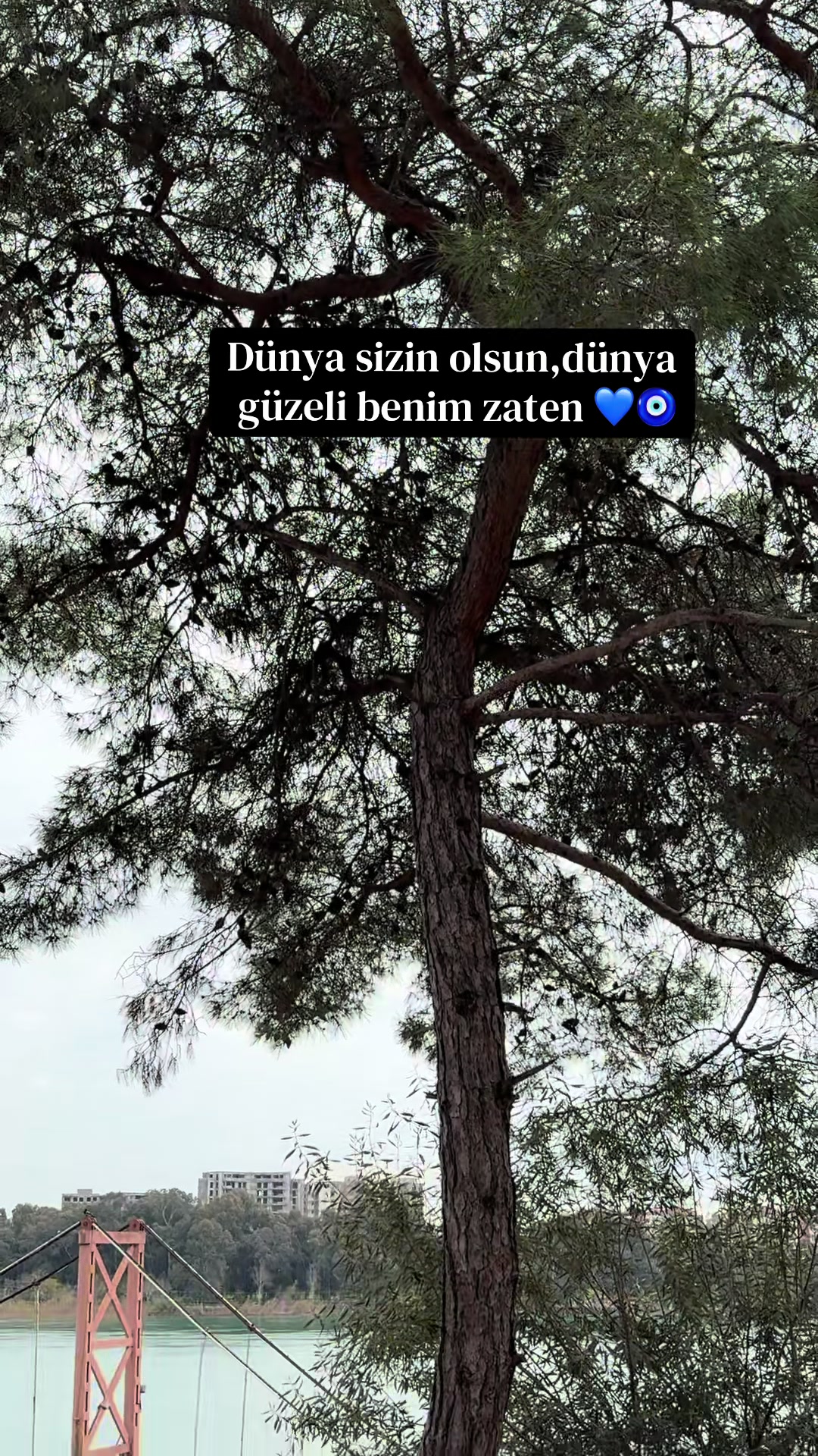 @kadir01r25