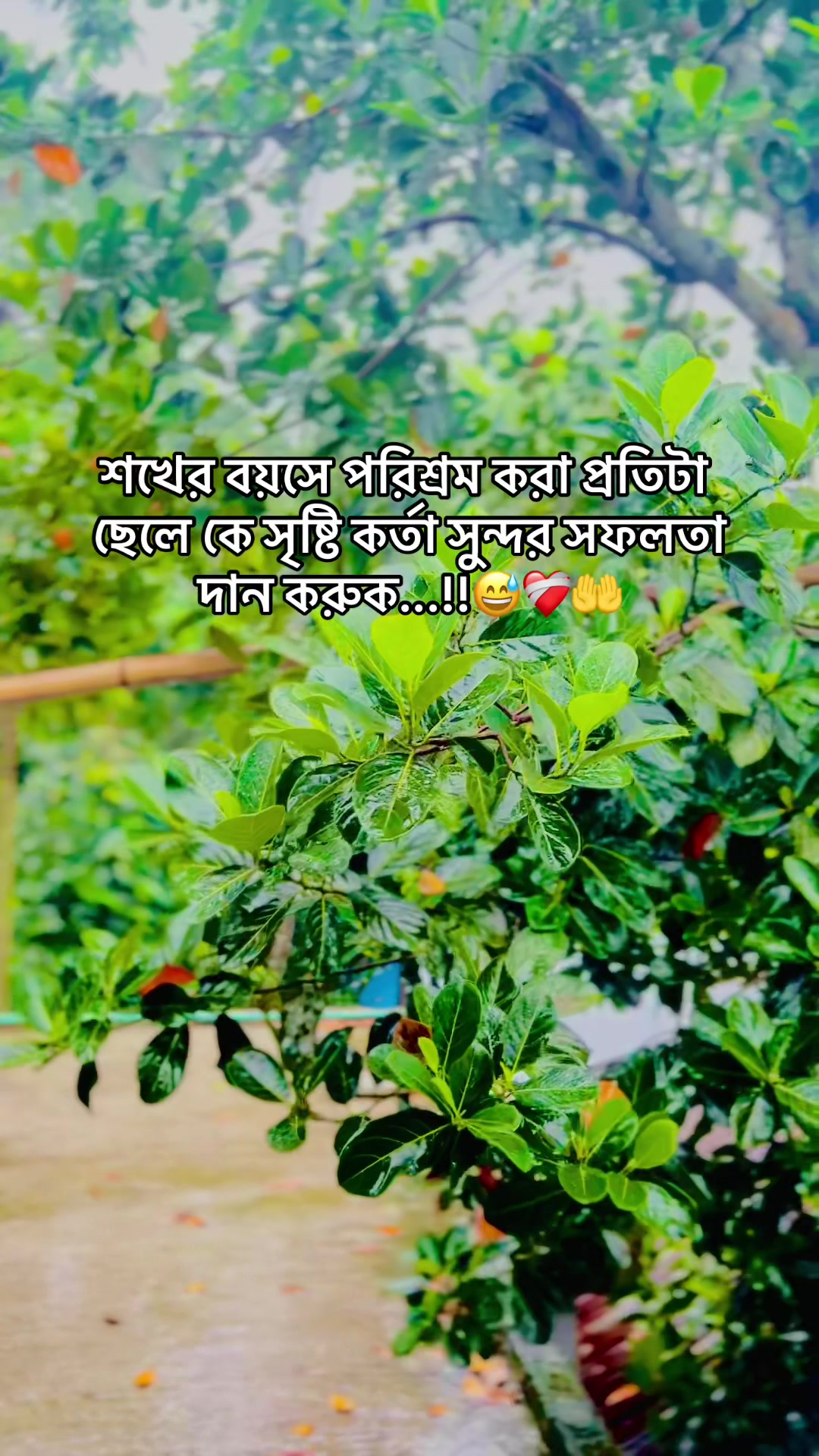 @Tanvir vaiya