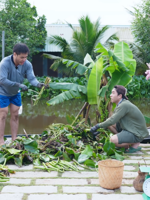 @L&ecirc; Dương Bảo.L&acirc;m