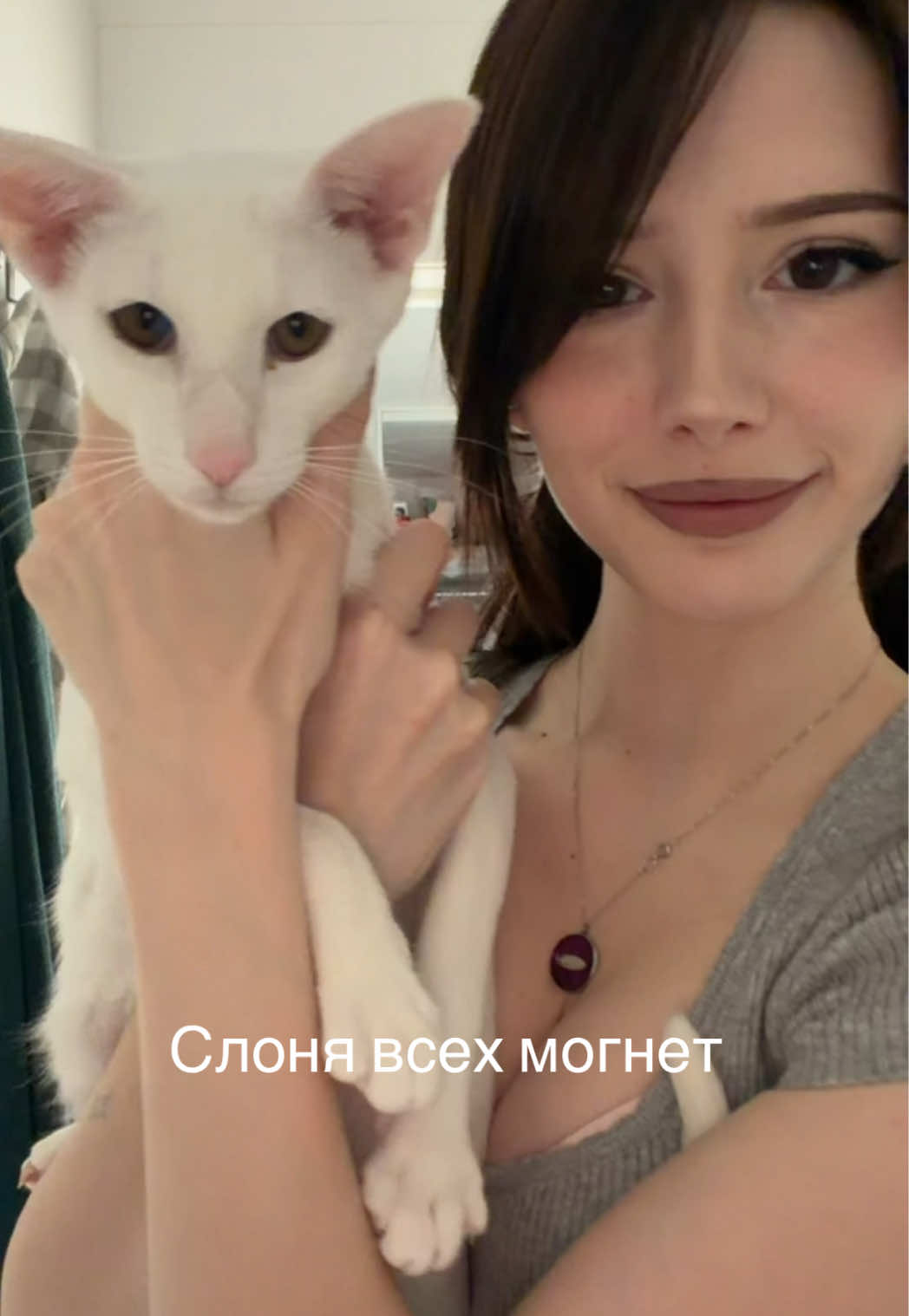 @Лина Мурмадол
