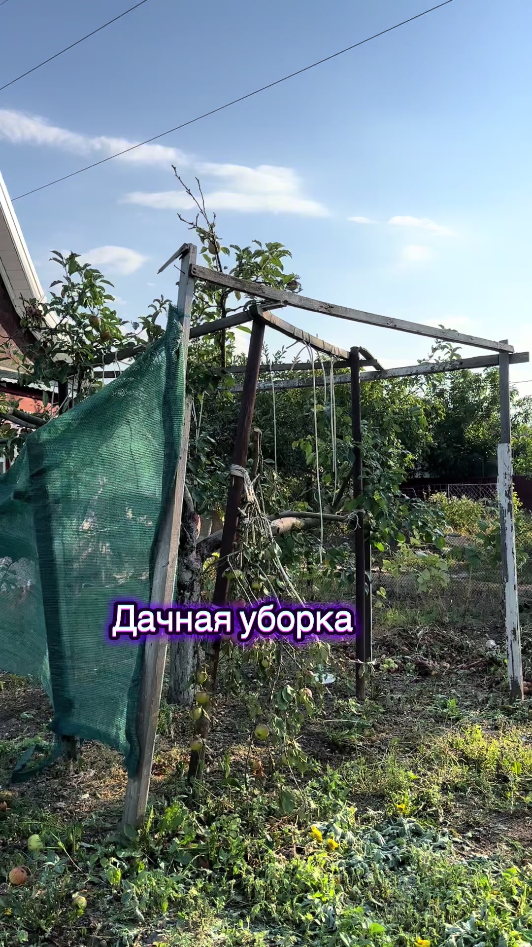 @Анна