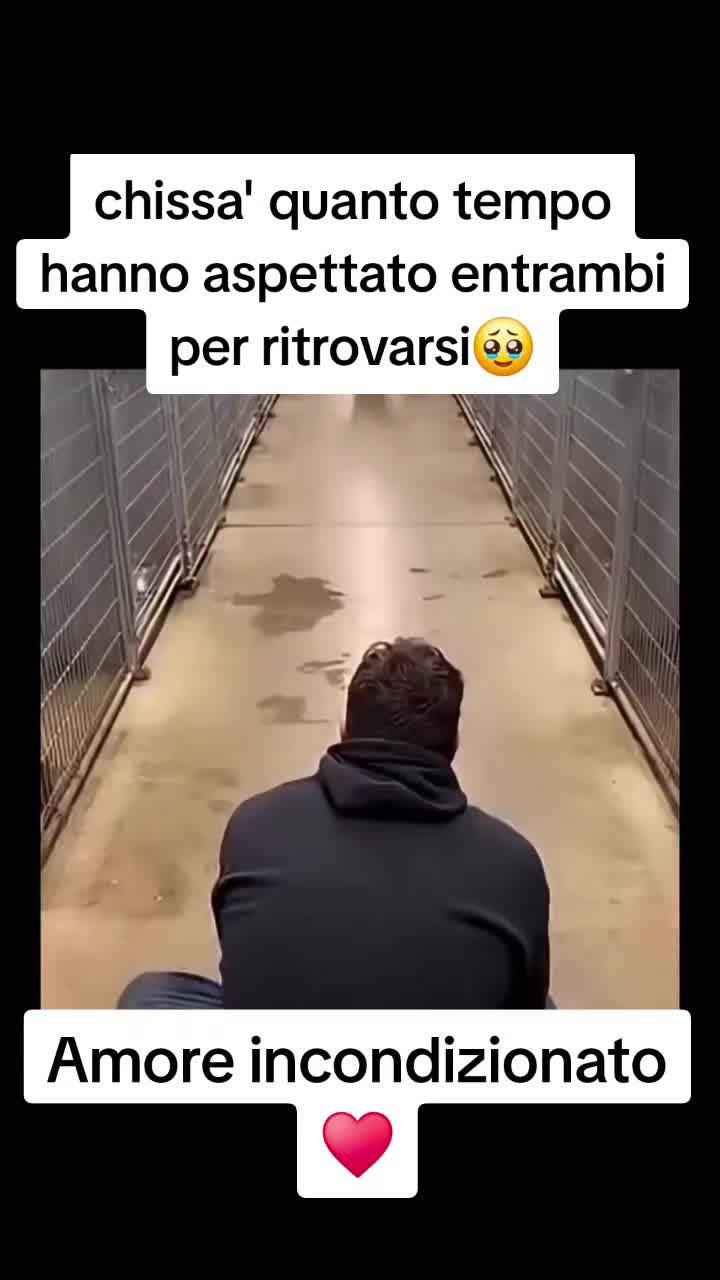 @fabio🥰