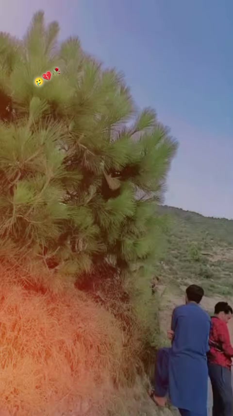 @🇵🇰Sudais jan💔S A✌🍷🦅🦅