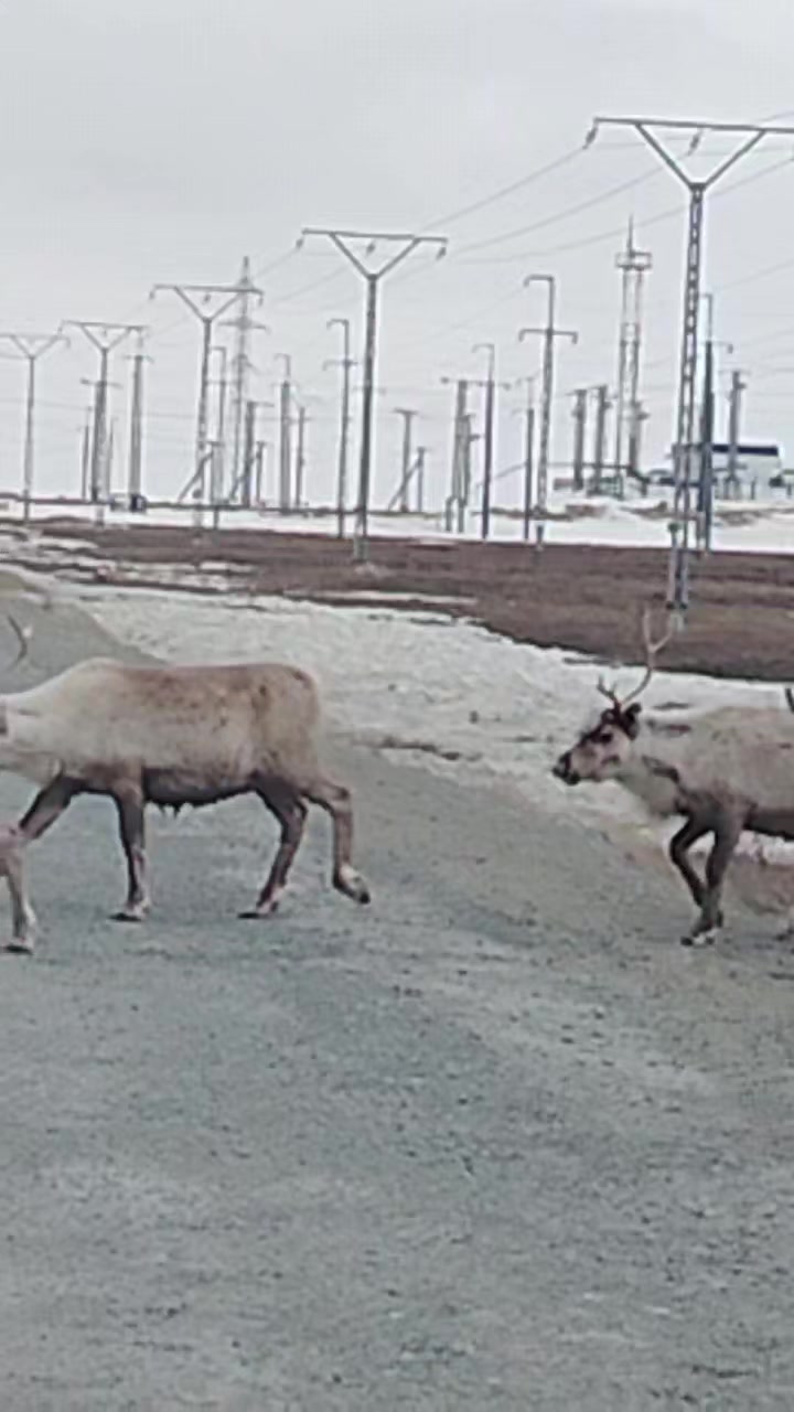 @Александр