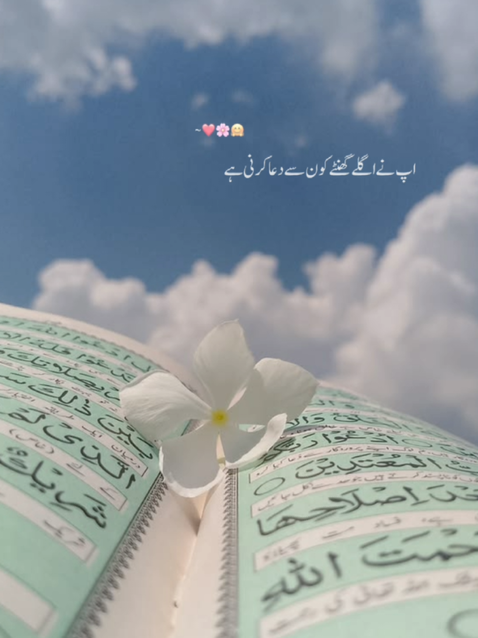 @Sky_angel🕊️
