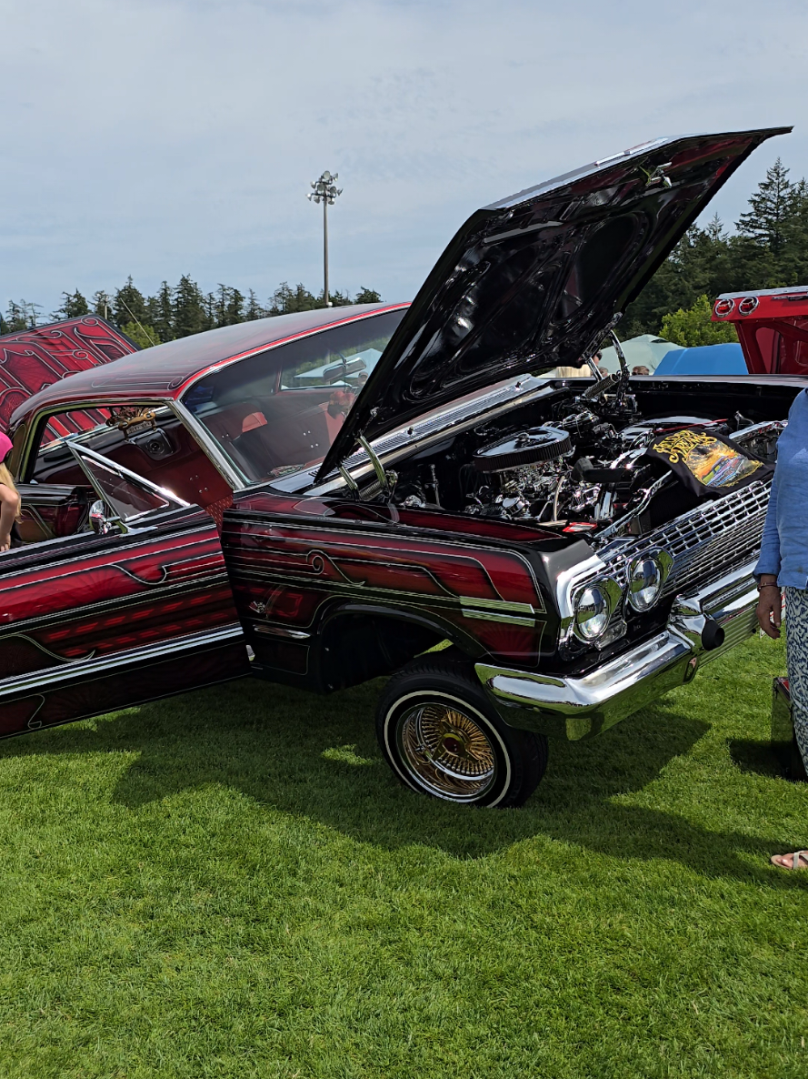 @miss81cutlass
