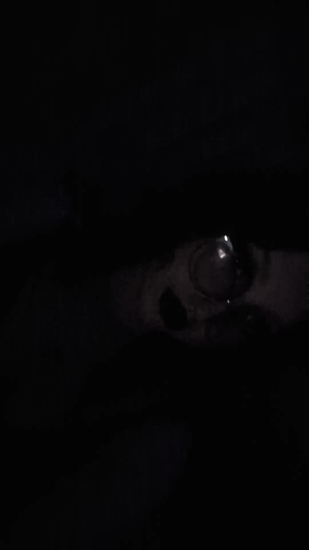 @Lilya<3
