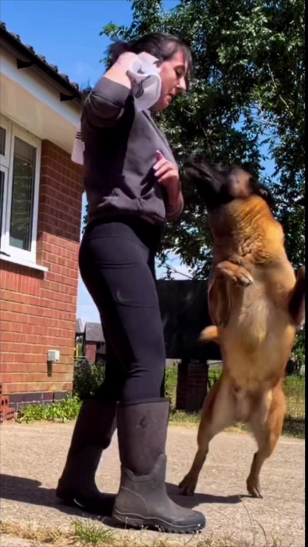 @Alexandra Butler-Enigma Canine