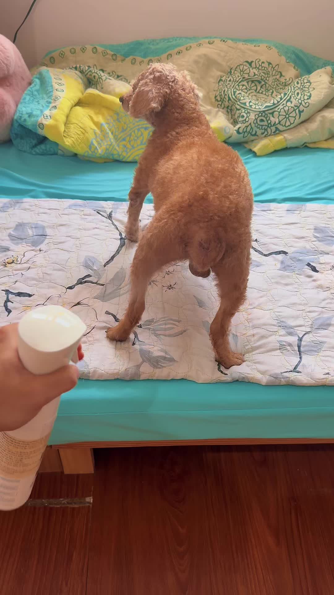 @Cái phòng nhỏ xíu