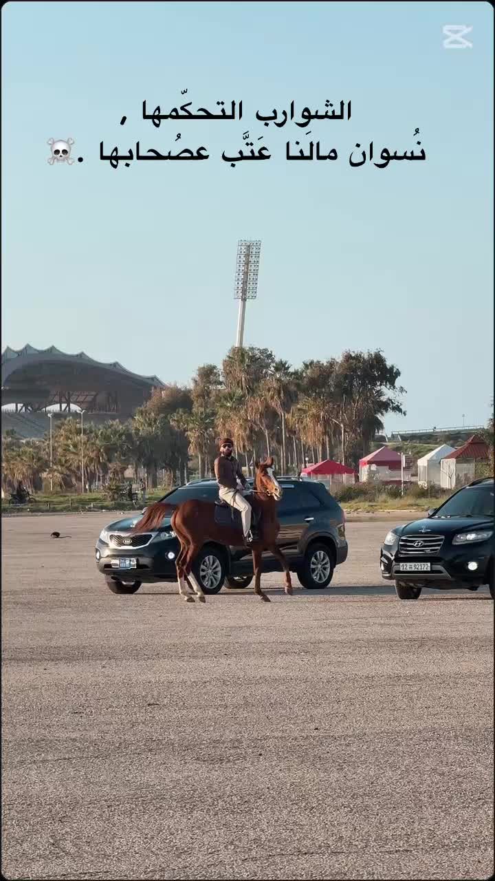 @حميد أبو الشيخ