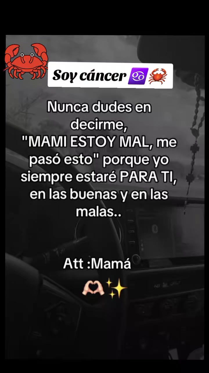 @💯Caminante Virtual 👌