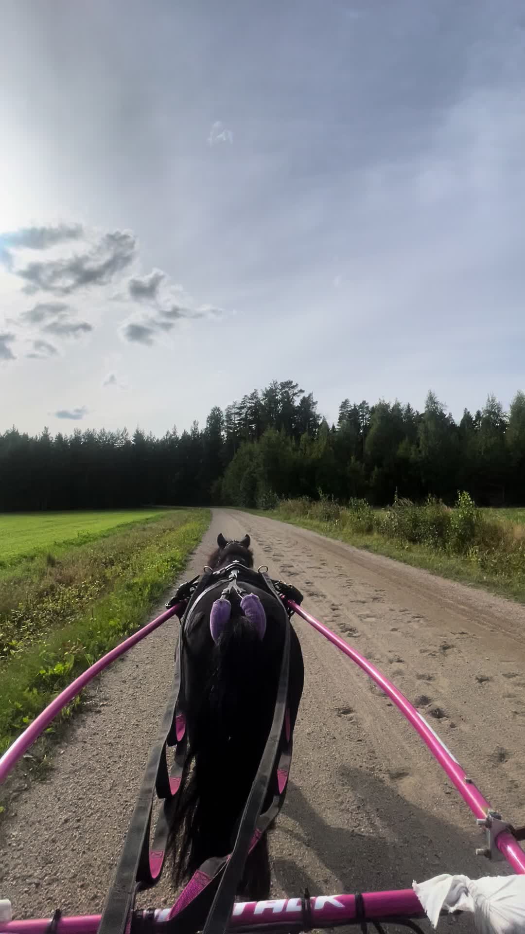 @🦄🦄
