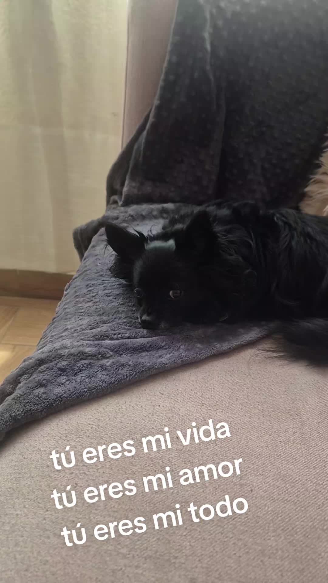 @Brenda B.