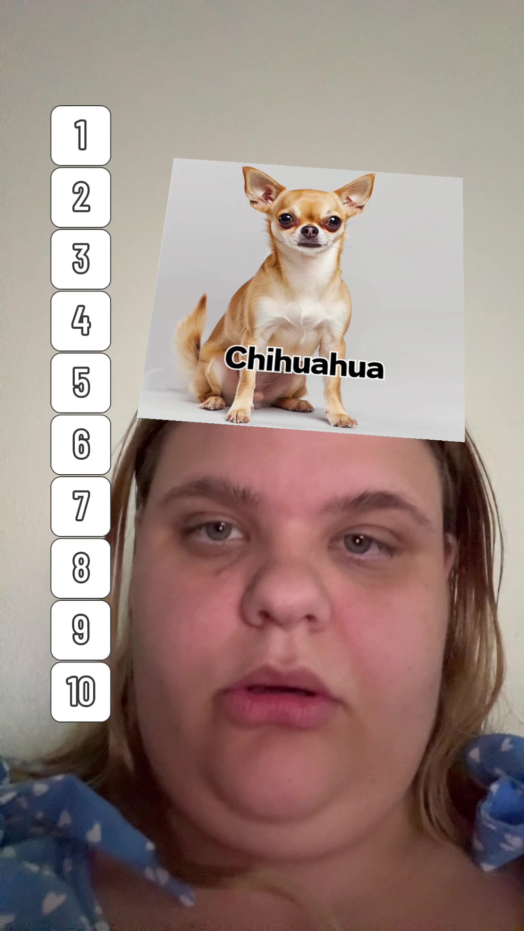 @toalettfilosofen