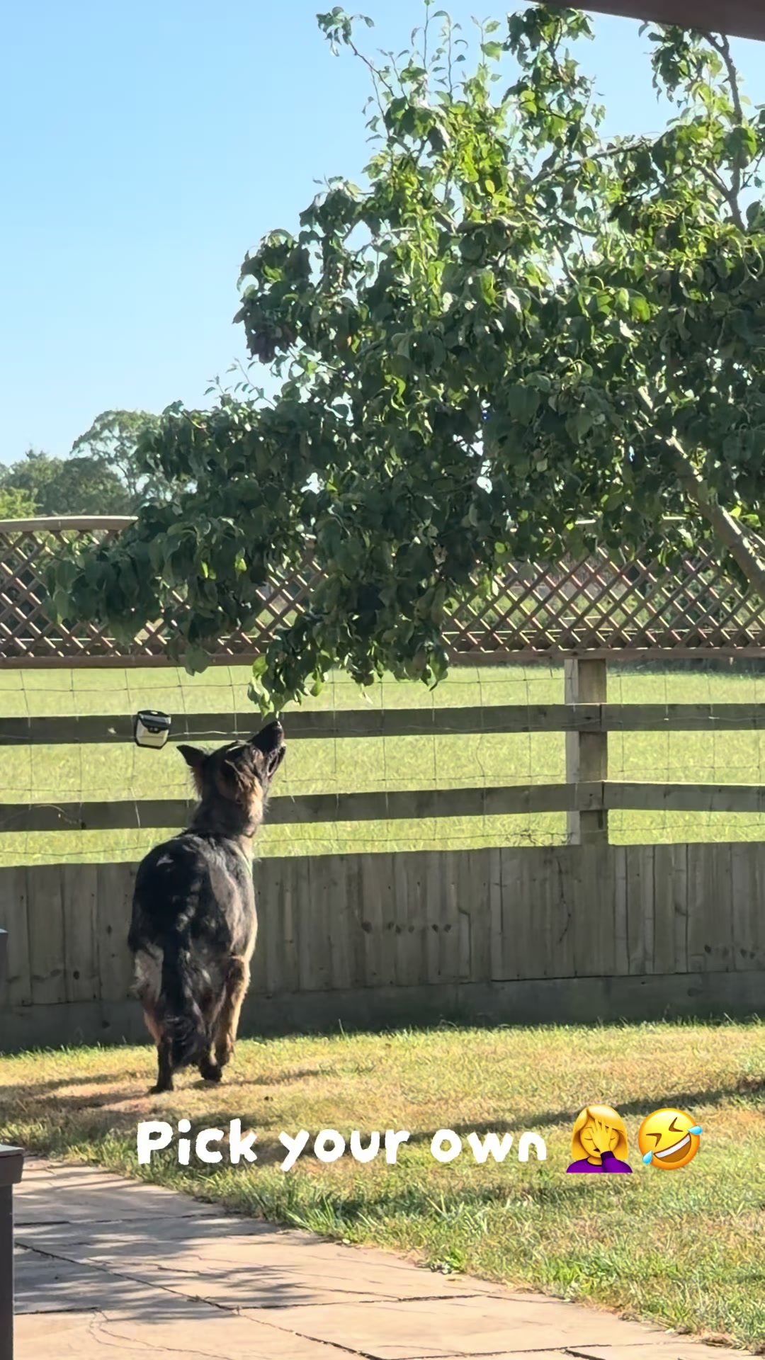 @TheGSDhubwithjennygould
