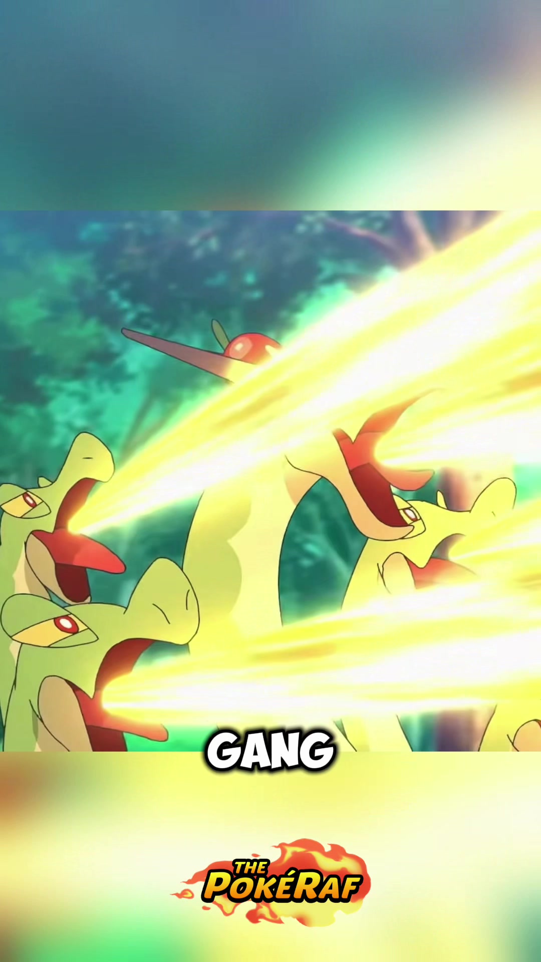 @ThePokéRaf
