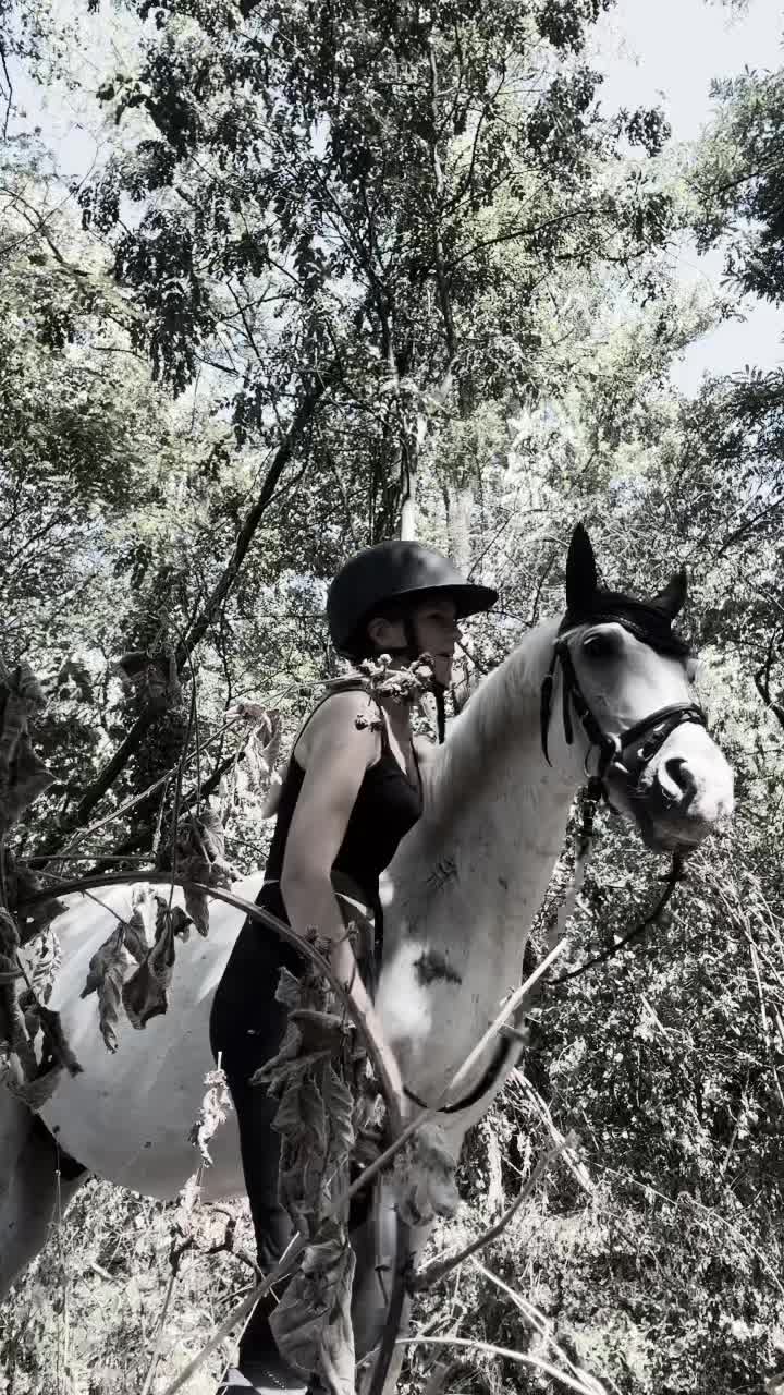 @leann.equest