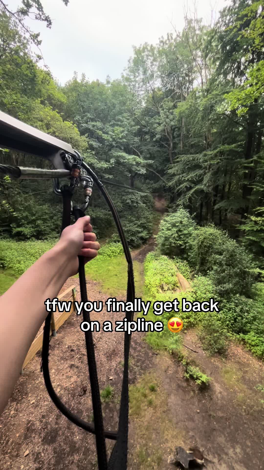 @Go Ape Rivington