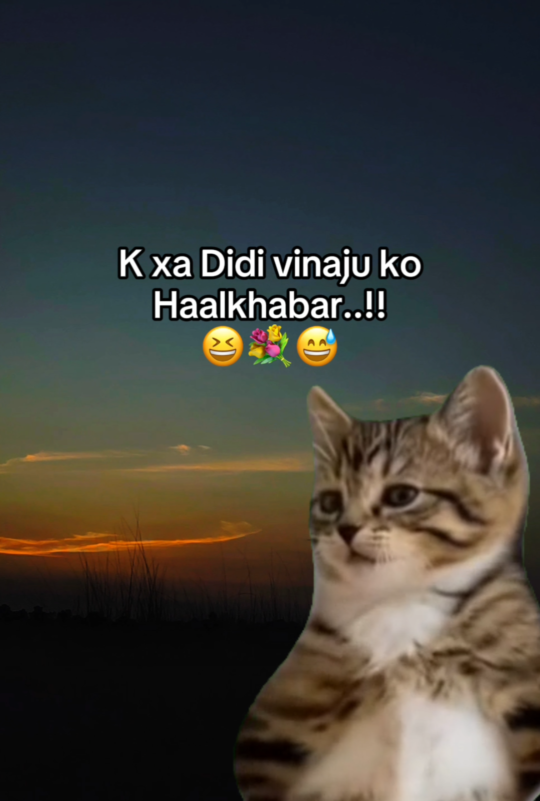 @𝖬𝗋 𝖯ɪɴᴛᴜ♡