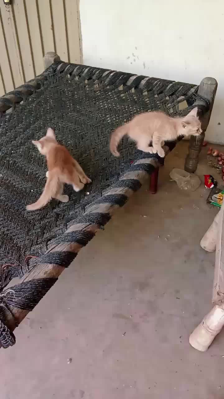 @cutecatlover8172