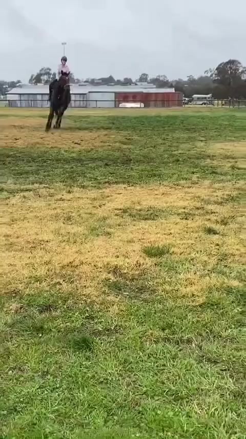 @skye.oequestrian38