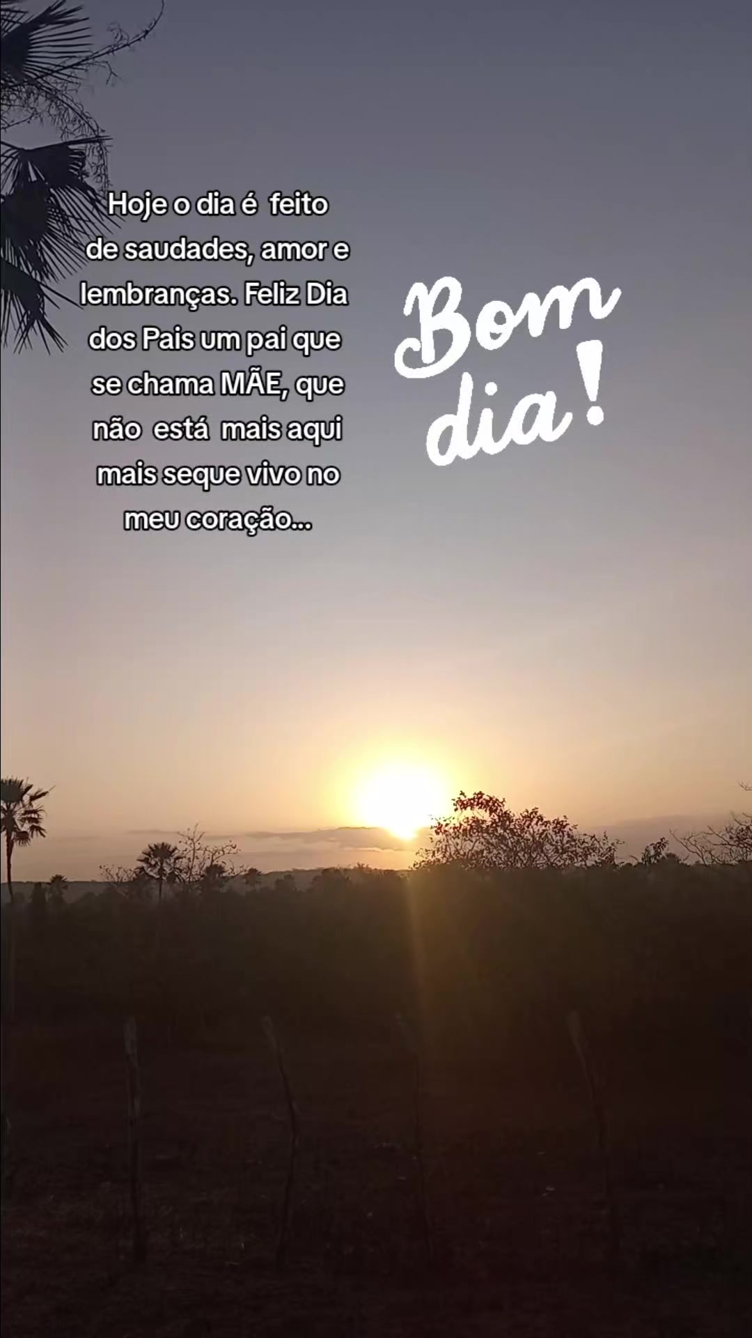 @PAISAGENSDODIAADIA