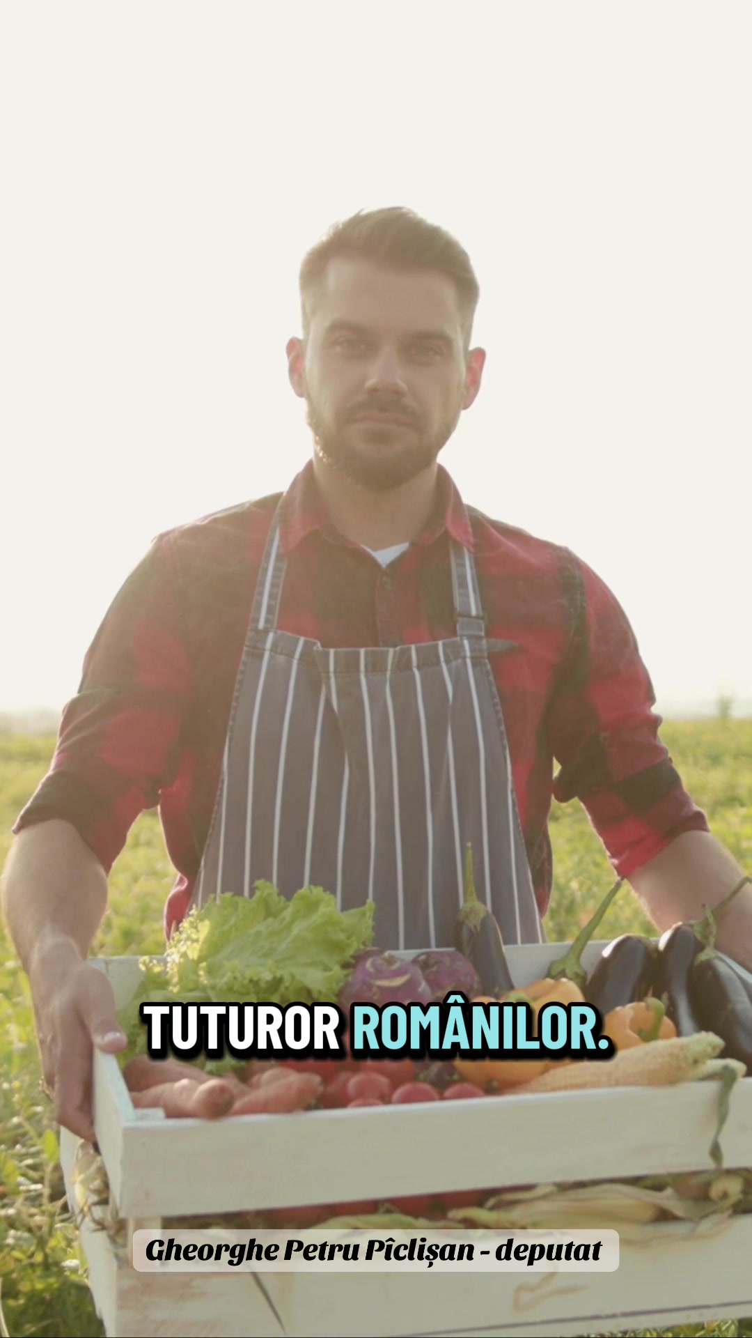 @Deputat Gheorghe P&icirc;clișan