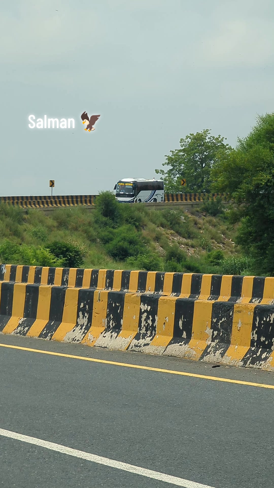 @Salman 🦅