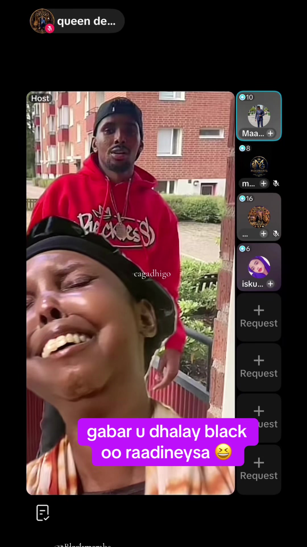 @Cagadhigo🫵