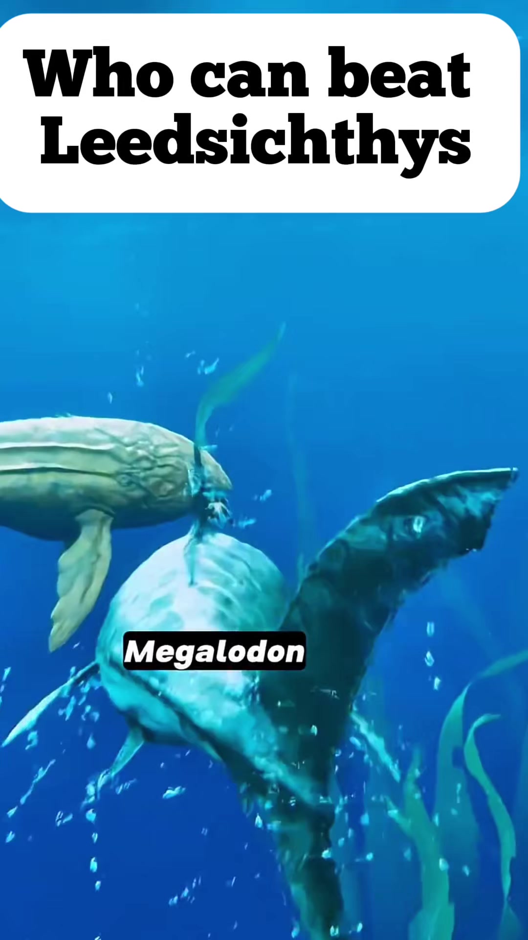 @JurassicJamez