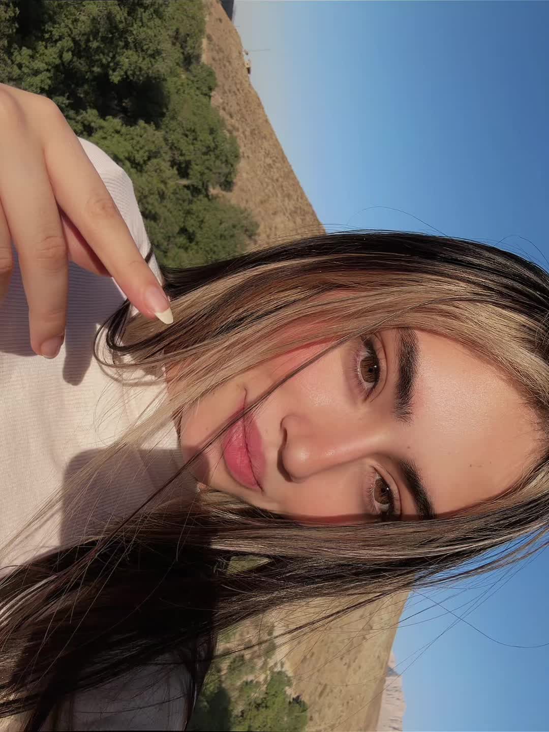 @Niayesh Khanian