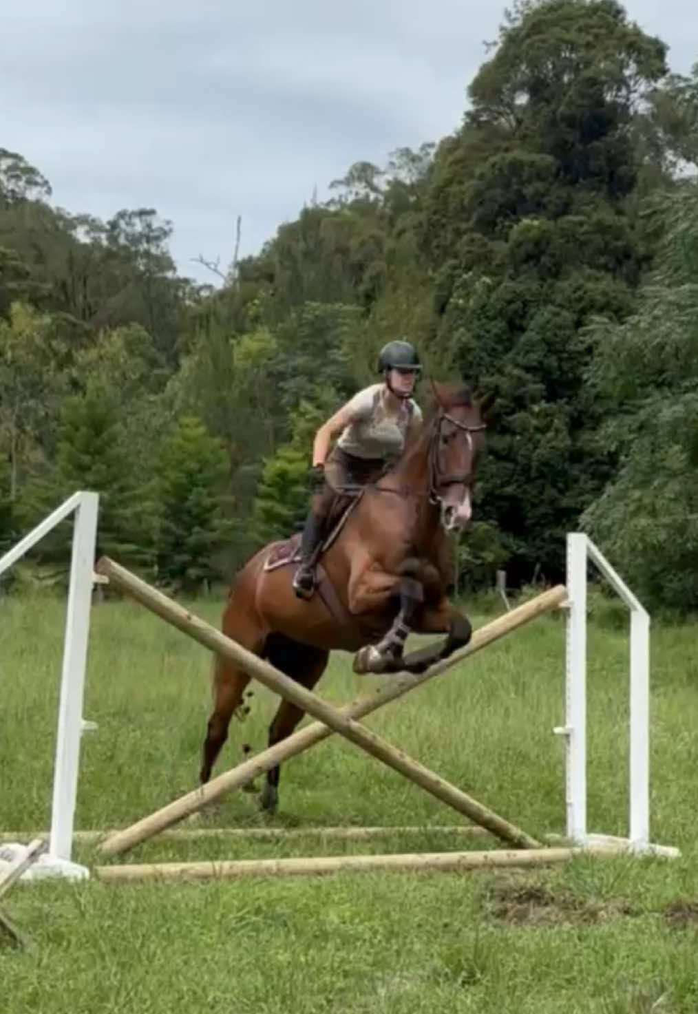 @Double F Performance Horses
